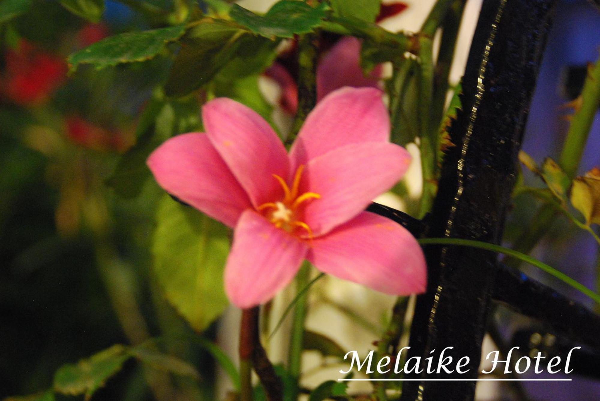 Melaike Hotel Foça Exterior foto